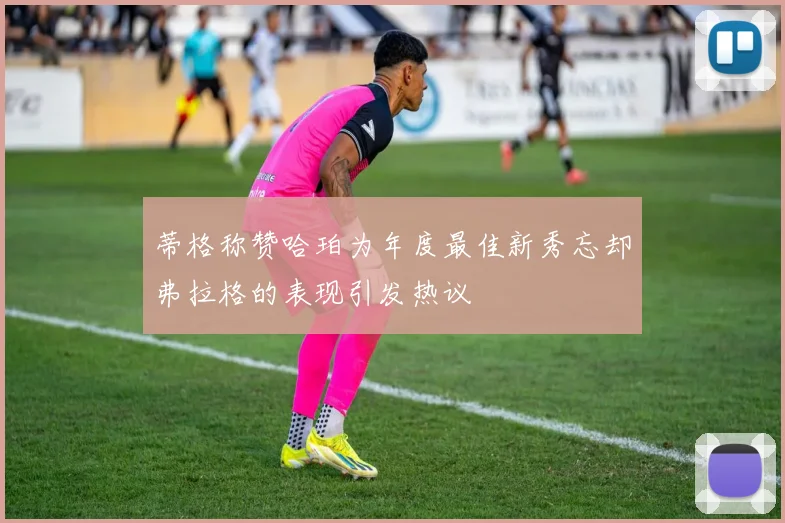 蒂格称赞哈珀为年度最佳新秀忘却弗拉格的表现引发热议
